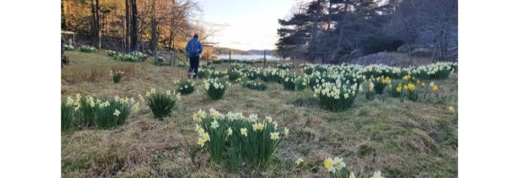 Overnattingstur med AKK til Auesøya 1.mai!